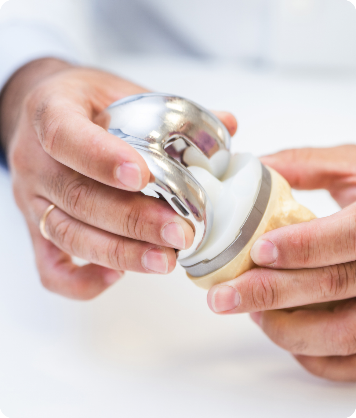 Artificial knee joint demonstration